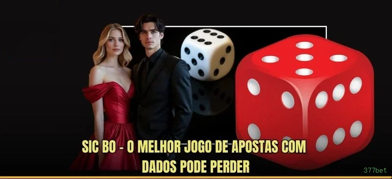 377bet - O melhor cassino online para brasileiros está pronto para você!